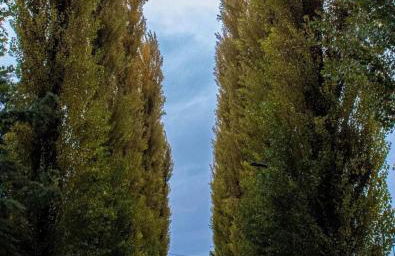 Casa Vacanze Barbara - Foto 43