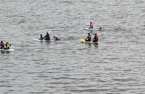 Apartament DELFIN - Photo 52