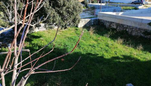 Ivica 2, studio apartment, Novalja - Foto 4, Garden, Garden view