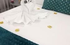 O Salgueiro - Foto 59