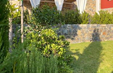 Laserrafelice - Photo 14