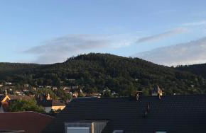 Main Boarding House - Foto 31