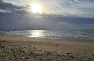 LES EMBRUNS - Photo 63