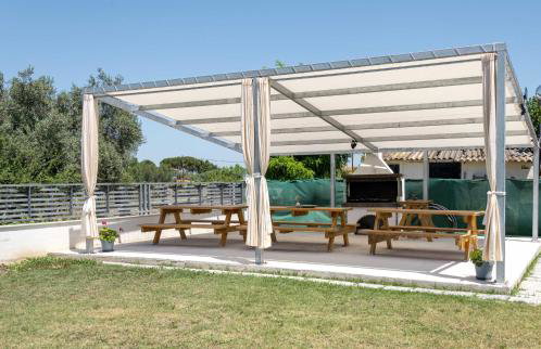 Palm Tree Apartments #FeelsLikeHome - Photo 14