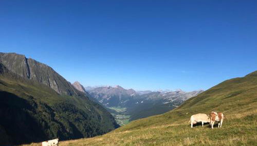 Ferienwohnungen Unterangerhof - Photo 4