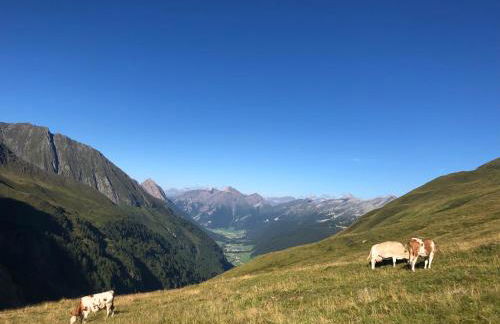 Ferienwohnungen Unterangerhof - Photo 4