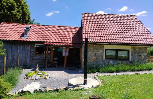 Kuća za odmor Dangubica - Foto 4