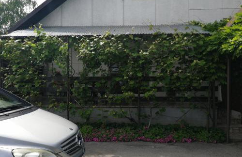 Apartman Sunce - Foto 12