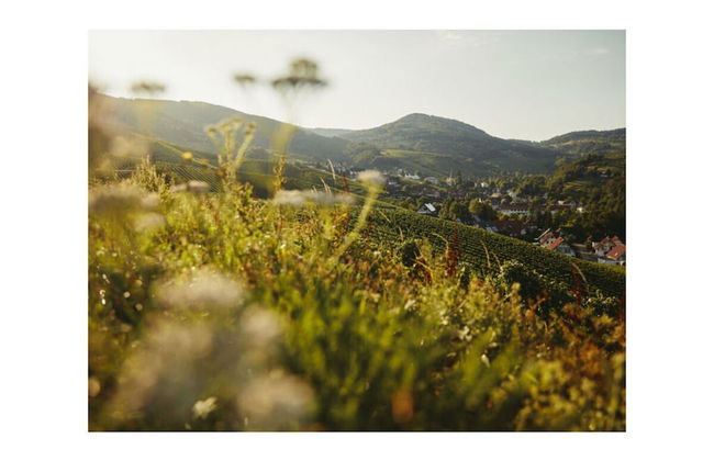 Oma Ludwin 1 Comfortable Holiday Residence - Foto 29