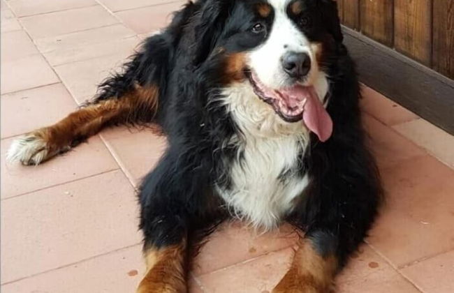 Agriturismo San Cataldo Farm Home - Photo 35