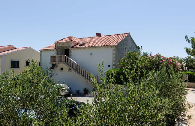 Plavac Mali - Foto 24