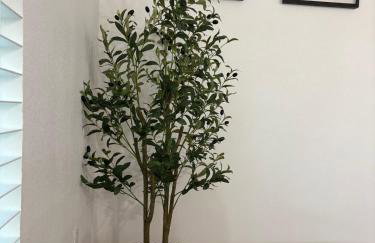 RR Beach Residence - Foto 41