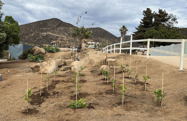 Ecovino Valle de Guadalupe - Foto 41