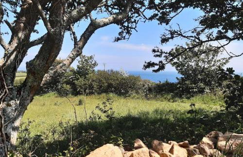 Corvus - Beautiful cottage half a mile from Mousehole - Photo 59