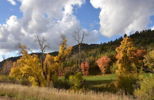 The Hideaway Concealed Cabin East Zion & Bryce - Photo 34