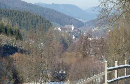 Gemütliche Ferienwohnung am Waldrand - Foto 33