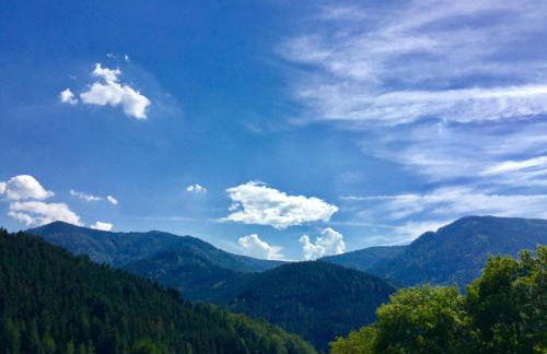 Felsenhof Simonswald - Foto 19