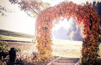 Ferienhof Stöhrmühle - Foto 53