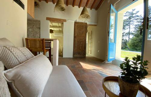 Monte Pino - Photo 3