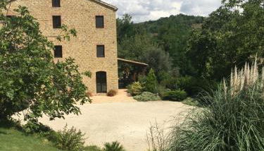 Casa Serena Apartment - Foto 3, Garden