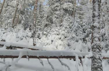 Grand Mobil Home 6 personnes climatisé avec 3 chambres et 2 salles de bains à Munster en Alsace - Foto 32