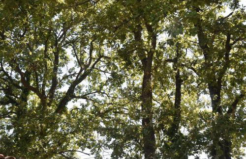 Lou Cigalou - Au Calme - Grand Jardin - Piscine Partagée - Parking - Campagne et Idéalement Situé Proche A7 et Montélimar - Foto 16