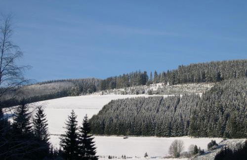 Haus Wald-Eck - Foto 14