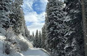 Padola, la tua casa in montagna - Foto 24