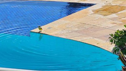 Casa de Praia em Mundaú - Foto 4