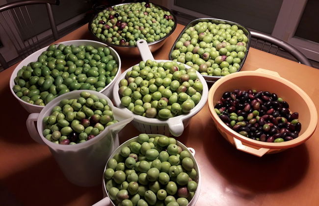 Family Apartment Kocevar - Foto 48