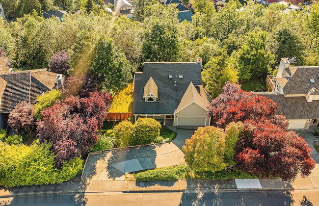 Bodur's Rustling Leaves EV Charge BBQ - Photo 39