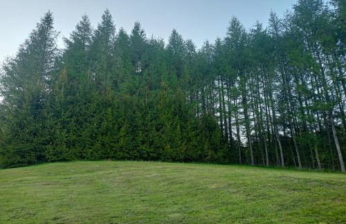 BIESZCZADZKA Antosiówka - Foto 33