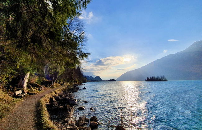 Panoramaferienwohnung Waldkircher - Foto 31