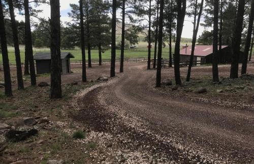 Grand Canyon Cottage at Historic Wrigley Ranch with Horseback Riding & Hiking - Foto 18