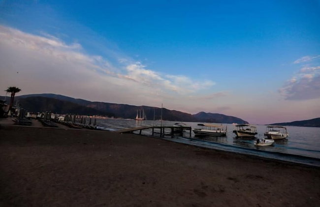 Little Gemin - Foto 18