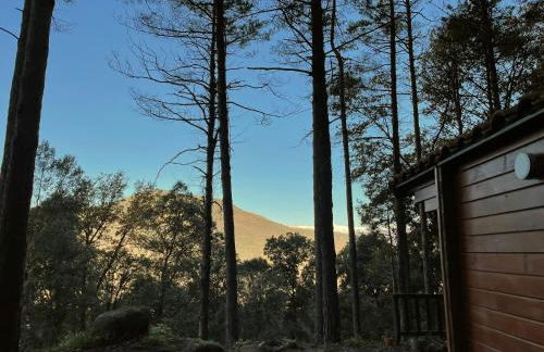 Cabañita de madera en Mas Coguleras - Photo 6