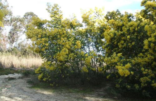 Résidence Santa - Foto 27