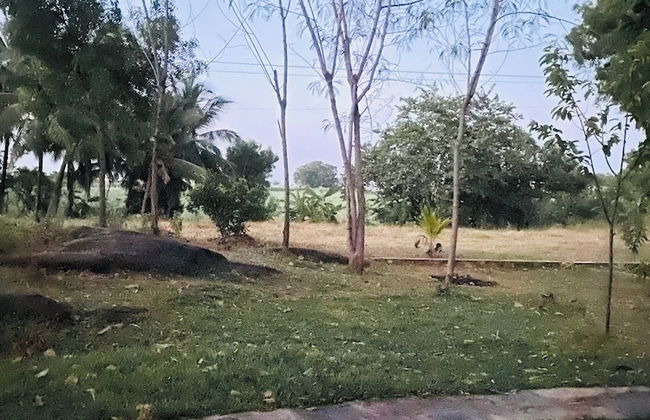 River Paradise Safari House with Cooking Class - Photo 37