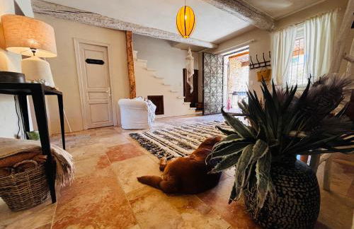 Le Beldi, Mas de Village 1870 - Foto 12