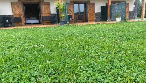 casa rural larre aundi - Foto 4, Garden