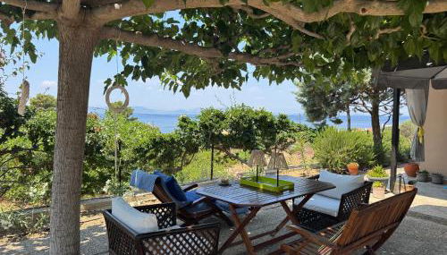 Villieta Marina - Foto 3, Garden