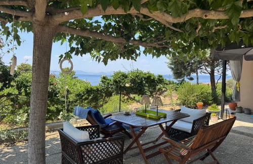 Villieta Marina - Foto 3