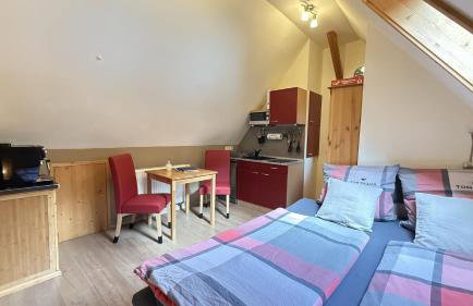 Schwarzwaldhaus Zwink - Photo 51