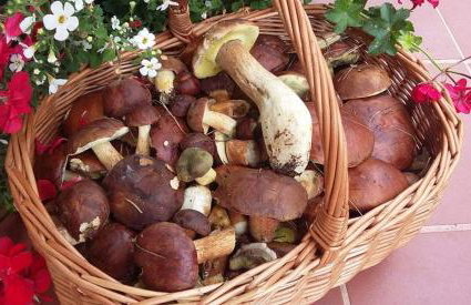 Agroturystyka Rębowo - Foto 4