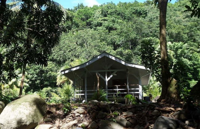 Citrus Creek Plantation - Photo 19