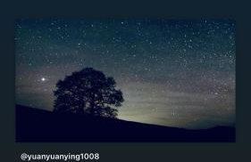 Fauld O Wheat Shepherds Hut , Loch Ken ,Off Grid - Foto 9