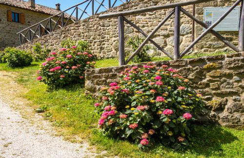 Agriturismo Terrazza sul Parco - Foto 58