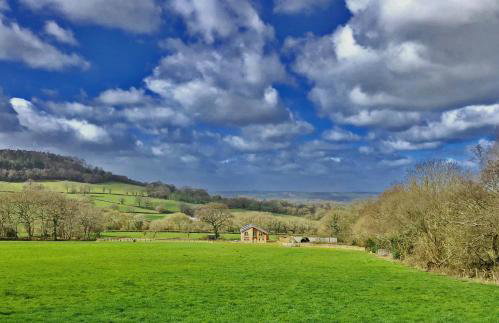Blackdown Views - New 6 Bedroom Eco House - Foto 29