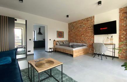 Apartamenty Gliwice Staromiejska 65 - Foto 50