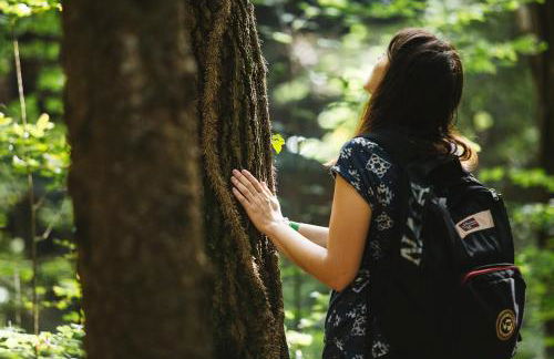 Agriturismo Florandonole - Foto 28